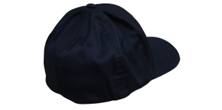 FlexFit Hat (Rear)